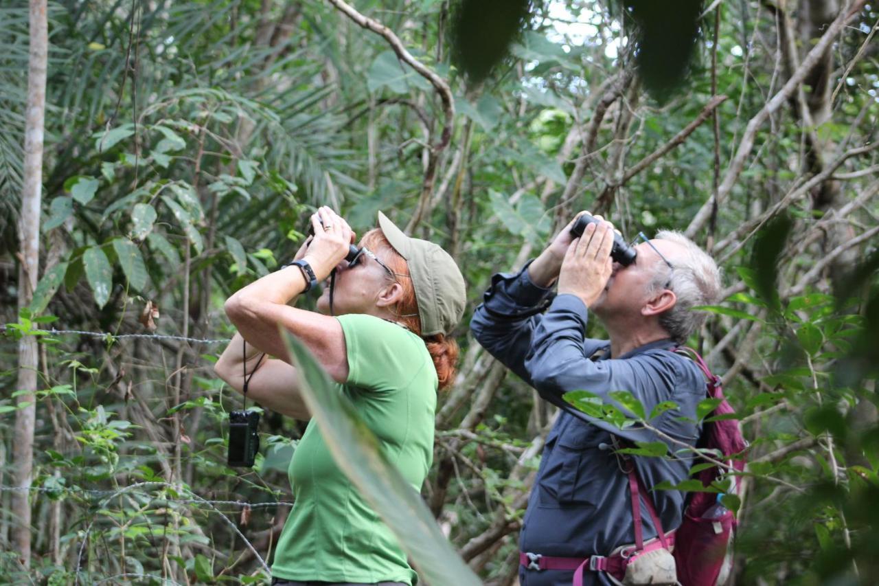 Arua Observacao De Vida Silvestre Praia do Forte Kültér fotó