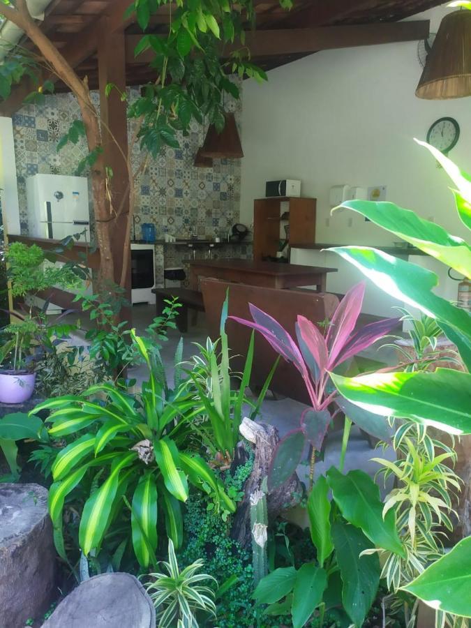 Arua Observacao De Vida Silvestre Praia do Forte Kültér fotó