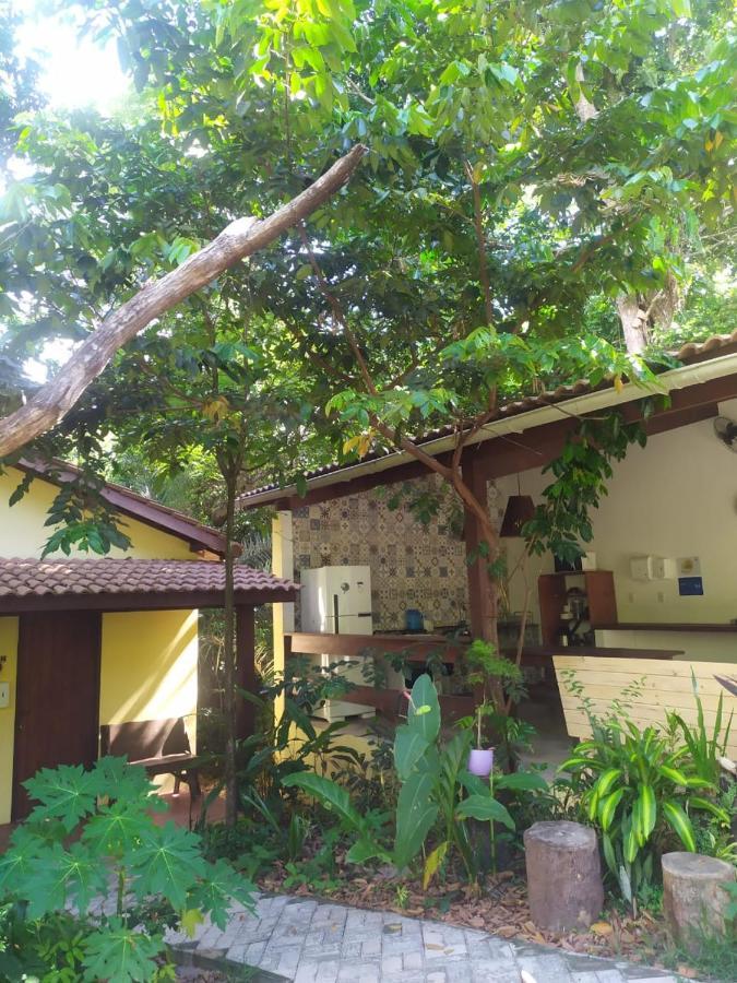 Arua Observacao De Vida Silvestre Praia do Forte Kültér fotó