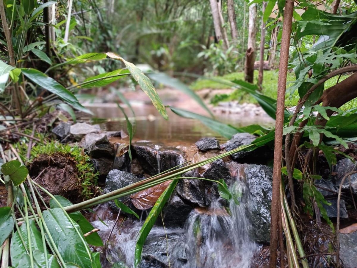 Arua Observacao De Vida Silvestre Praia do Forte Kültér fotó